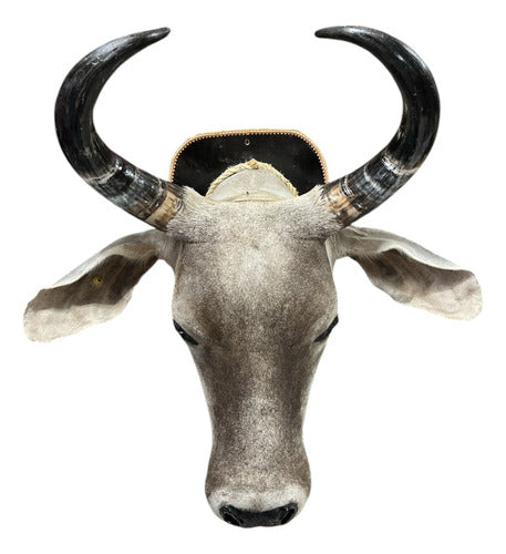 Decoração Country De Parede Cabeça De Boi Nelore Empalhada